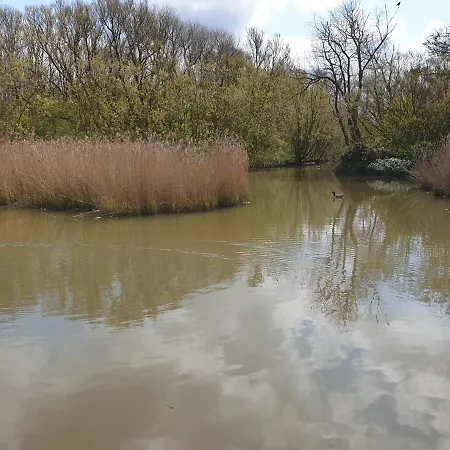 Raversijde With Seaview